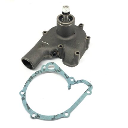 POMPA ACQUA ECOLINE LANDINI - cod: E3658106M91