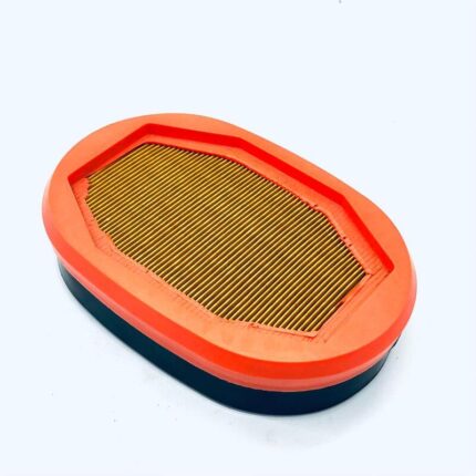 FILTRO ARIA INTERNO OVALE GOLDONI - cod: 06340234